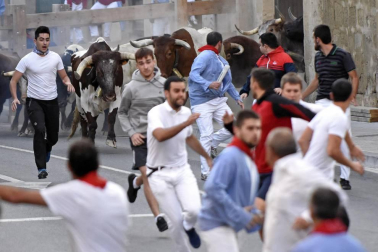 Tafalla finaliza sus fiestas con en último encierro de toros, la despedida de los gigantes, cantos por las calles y un correfoc focarrada