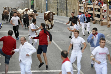 Tafalla finaliza sus fiestas con en último encierro de toros, la despedida de los gigantes, cantos por las calles y un correfoc focarrada