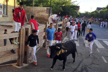 Tafalla finaliza sus fiestas con en último encierro de toros, la despedida de los gigantes, cantos por las calles y un correfoc focarrada