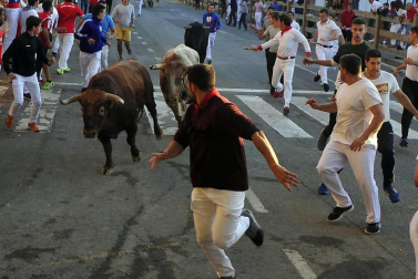 Tafalla finaliza sus fiestas con en último encierro de toros, la despedida de los gigantes, cantos por las calles y un correfoc focarrada