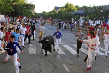 Tafalla finaliza sus fiestas con en último encierro de toros, la despedida de los gigantes, cantos por las calles y un correfoc focarrada