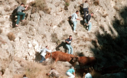 Las imágenes del día de hace 5, 10 y 20 años.