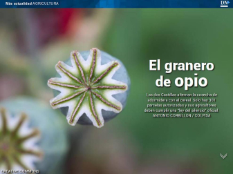 Además, el cultivo de opio en España
