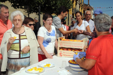 Por séptimo año consecutivo, los vecinos de Sartaguda han puesto en marcha la Feria del melocotón. Los actos, organizados para el domingo 19 de agosto, dieron comienzo con el pregón y se prolongaron con la exposición y venta de melocotones, la degustación de melocotón con vino, la comida popular con productos típicos de la localidad, el recorrido guiado con tren turístico por las fincas agrícolas, los hinchables para los más pequeños o el concurso de postres.