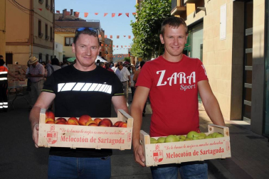 Por séptimo año consecutivo, los vecinos de Sartaguda han puesto en marcha la Feria del melocotón. Los actos, organizados para el domingo 19 de agosto, dieron comienzo con el pregón y se prolongaron con la exposición y venta de melocotones, la degustación de melocotón con vino, la comida popular con productos típicos de la localidad, el recorrido guiado con tren turístico por las fincas agrícolas, los hinchables para los más pequeños o el concurso de postres.
