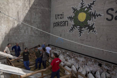 Artzai Eguna