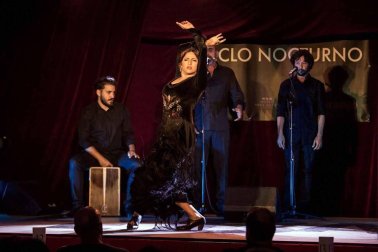 Fotos de algunas de las actuaciones de la quinta edición de Flamenco On Fire.