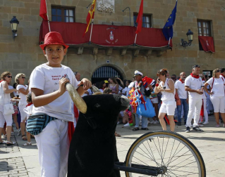 Fotos del cohete de las fiestas de Murillo el Fruto 2018