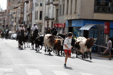 El 25 de agosto los peralteses celebraron la segunda edición del Día del Cucón, un pimiento autóctono con mucha clase. El cocinero local Antonio Barcos Díaz fue el encargado de realizar la lectura del pregón, tras la que se procedió a la degustación de 700 raciones de este suave y carnoso pimiento en la plaza Principal.
