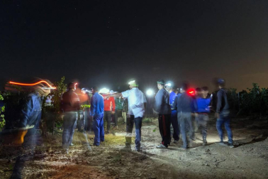 Más de 30 trabajadores han recogido en 3 noches 36.000 kilos de uva blanca Chardonay en Cadreita.