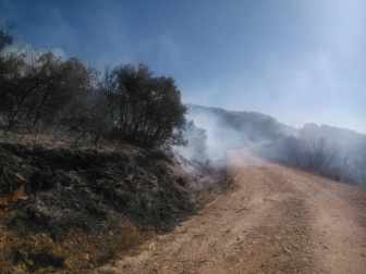 Bomberos forestales de los parques de Cordovilla, Tafalla y Estella y las dos Brigadas de Refuerzo en Incendios Forestales  han acudido a la zona donde se ha extendido el fuego. 