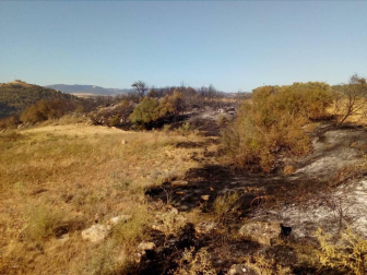 Bomberos forestales de los parques de Cordovilla, Tafalla y Estella y las dos Brigadas de Refuerzo en Incendios Forestales  han acudido a la zona donde se ha extendido el fuego. 