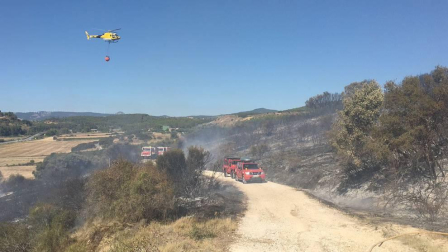 Bomberos forestales de los parques de Cordovilla, Tafalla y Estella y las dos Brigadas de Refuerzo en Incendios Forestales  han acudido a la zona donde se ha extendido el fuego. 