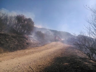 Bomberos forestales de los parques de Cordovilla, Tafalla y Estella y las dos Brigadas de Refuerzo en Incendios Forestales  han acudido a la zona donde se ha extendido el fuego. 