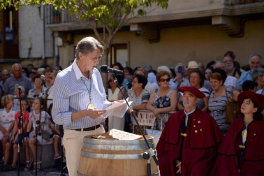 Imágenes de la Fiesta de la Vendimia de Navarra, celebrada en Olite este domingo, 2 de septiembre, y organizada por la Cofradía del Vino de Navarra.