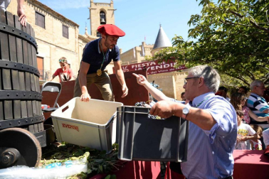 Imágenes de la Fiesta de la Vendimia de Navarra, celebrada en Olite este domingo, 2 de septiembre, y organizada por la Cofradía del Vino de Navarra.