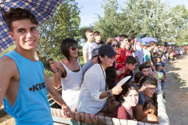 A pocos días de que empiecen sus fiestas patronales, los cirboneros han disfrutado este domingo, 2 de septiembre, de la 'traída' de vacas