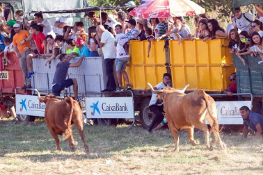 A pocos días de que empiecen sus fiestas patronales, los cirboneros han disfrutado este domingo, 2 de septiembre, de la 'traída' de vacas