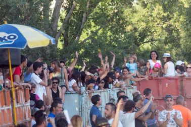 A pocos días de que empiecen sus fiestas patronales, los cirboneros han disfrutado este domingo, 2 de septiembre, de la 'traída' de vacas