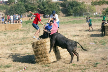 A pocos días de que empiecen sus fiestas patronales, los cirboneros han disfrutado este domingo, 2 de septiembre, de la 'traída' de vacas