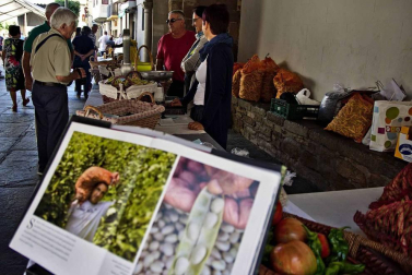 Sangüesa celebró este domingo, 2 de septiembre, el VII Elogio de la Pocha
