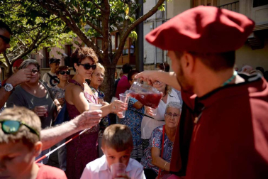 Imágenes de la Fiesta de la Vendimia de Navarra, celebrada en Olite este domingo, 2 de septiembre, y organizada por la Cofradía del Vino de Navarra.
