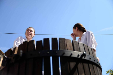 Imágenes de la Fiesta de la Vendimia de Navarra, celebrada en Olite este domingo, 2 de septiembre, y organizada por la Cofradía del Vino de Navarra.