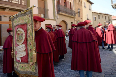 Imágenes de la Fiesta de la Vendimia de Navarra, celebrada en Olite este domingo, 2 de septiembre, y organizada por la Cofradía del Vino de Navarra.