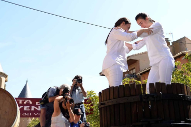 Imágenes de la Fiesta de la Vendimia de Navarra, celebrada en Olite este domingo, 2 de septiembre, y organizada por la Cofradía del Vino de Navarra.