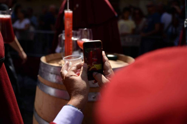 Imágenes de la Fiesta de la Vendimia de Navarra, celebrada en Olite este domingo, 2 de septiembre, y organizada por la Cofradía del Vino de Navarra.
