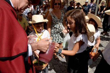 Imágenes de la Fiesta de la Vendimia de Navarra, celebrada en Olite este domingo, 2 de septiembre, y organizada por la Cofradía del Vino de Navarra.