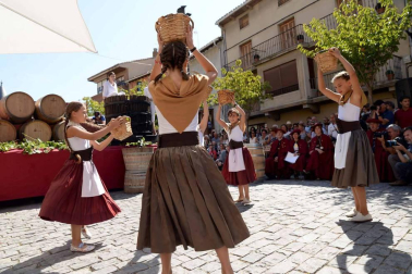 Imágenes de la Fiesta de la Vendimia de Navarra, celebrada en Olite este domingo, 2 de septiembre, y organizada por la Cofradía del Vino de Navarra.