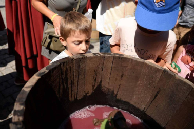 Imágenes de la Fiesta de la Vendimia de Navarra, celebrada en Olite este domingo, 2 de septiembre, y organizada por la Cofradía del Vino de Navarra.