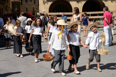 Imágenes de la Fiesta de la Vendimia de Navarra, celebrada en Olite este domingo, 2 de septiembre, y organizada por la Cofradía del Vino de Navarra.