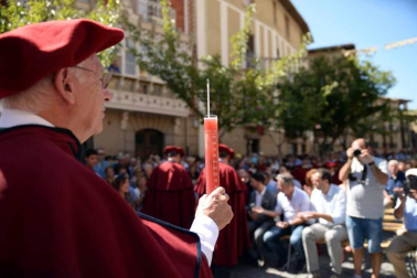 Imágenes de la Fiesta de la Vendimia de Navarra, celebrada en Olite este domingo, 2 de septiembre, y organizada por la Cofradía del Vino de Navarra.