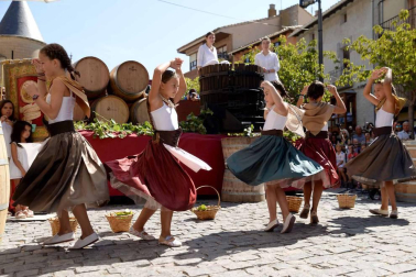 Imágenes de la Fiesta de la Vendimia de Navarra, celebrada en Olite este domingo, 2 de septiembre, y organizada por la Cofradía del Vino de Navarra.