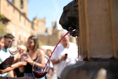 Imágenes de la Fiesta de la Vendimia de Navarra, celebrada en Olite este domingo, 2 de septiembre, y organizada por la Cofradía del Vino de Navarra.