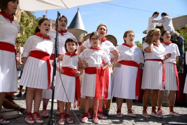 Imágenes de la Fiesta de la Vendimia de Navarra, celebrada en Olite este domingo, 2 de septiembre, y organizada por la Cofradía del Vino de Navarra.