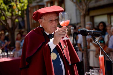 Imágenes de la Fiesta de la Vendimia de Navarra, celebrada en Olite este domingo, 2 de septiembre, y organizada por la Cofradía del Vino de Navarra.