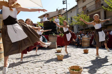 Imágenes de la Fiesta de la Vendimia de Navarra, celebrada en Olite este domingo, 2 de septiembre, y organizada por la Cofradía del Vino de Navarra.