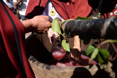 Imágenes de la Fiesta de la Vendimia de Navarra, celebrada en Olite este domingo, 2 de septiembre, y organizada por la Cofradía del Vino de Navarra.