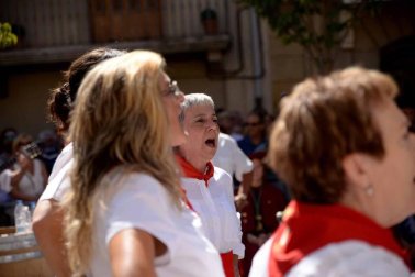 Imágenes de la Fiesta de la Vendimia de Navarra, celebrada en Olite este domingo, 2 de septiembre, y organizada por la Cofradía del Vino de Navarra.