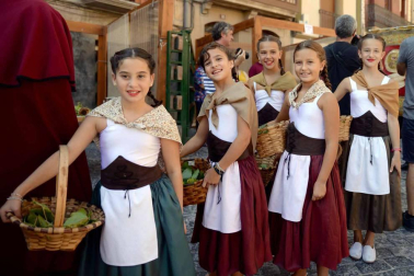 Imágenes de la Fiesta de la Vendimia de Navarra, celebrada en Olite este domingo, 2 de septiembre, y organizada por la Cofradía del Vino de Navarra.