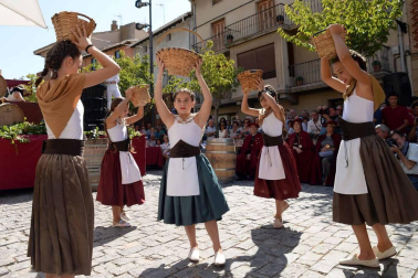 Imágenes de la Fiesta de la Vendimia de Navarra, celebrada en Olite este domingo, 2 de septiembre, y organizada por la Cofradía del Vino de Navarra.
