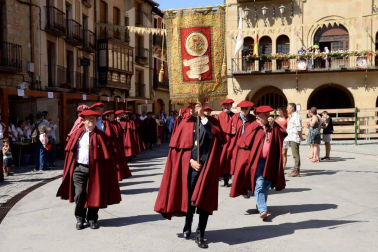 Imágenes de la Fiesta de la Vendimia de Navarra, celebrada en Olite este domingo, 2 de septiembre, y organizada por la Cofradía del Vino de Navarra.