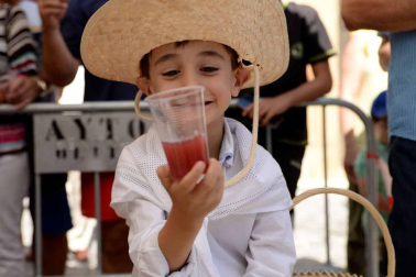 Imágenes de la Fiesta de la Vendimia de Navarra, celebrada en Olite este domingo, 2 de septiembre, y organizada por la Cofradía del Vino de Navarra.