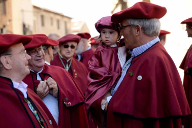 Imágenes de la Fiesta de la Vendimia de Navarra, celebrada en Olite este domingo, 2 de septiembre, y organizada por la Cofradía del Vino de Navarra.
