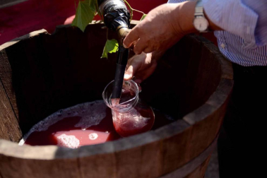 Imágenes de la Fiesta de la Vendimia de Navarra, celebrada en Olite este domingo, 2 de septiembre, y organizada por la Cofradía del Vino de Navarra.