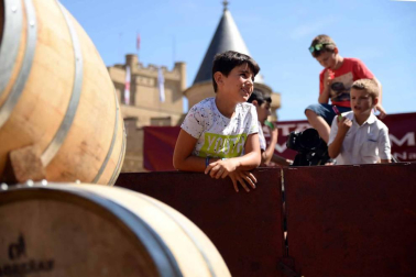 Imágenes de la Fiesta de la Vendimia de Navarra, celebrada en Olite este domingo, 2 de septiembre, y organizada por la Cofradía del Vino de Navarra.