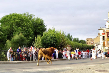 Fotos de la comida del día del abuelo de las fiestas de Peralta de 2018